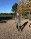Pernille Nørskov Pedersen
