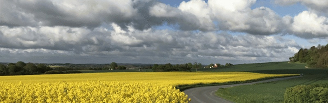 Tuse Næs Sogn