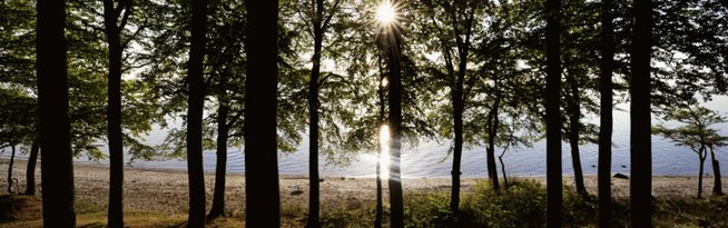 Falslev-Vindblæs Sogn